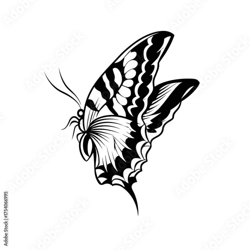 Elegant symmetrical black and white butterfly illustration with intricate wing patterns, flowing lines,