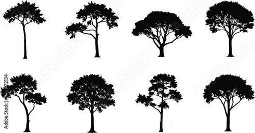 Collection of deciduous tree silhouettes, natural forest tree vector set, black isolated shapes for landscape, design, illustration and decoration