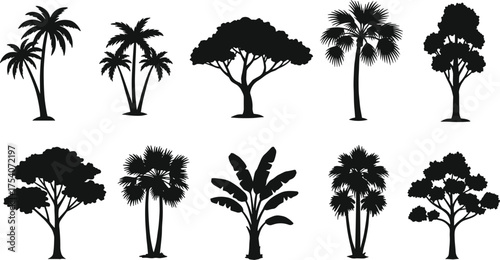 Set of tropical and palm tree silhouettes, black forest tree collection isolated on white background for design and illustration
