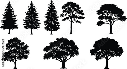 Collection of pine and deciduous tree silhouettes, black forest tree shapes isolated on white background for nature, landscape, and design