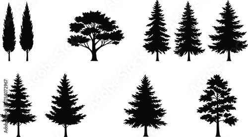 Black pine and cypress tree silhouette collection isolated on white background, evergreen forest vector illustration for nature, landscape, and design