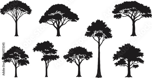 Tree silhouettes collection, black forest vector set, natural woodland illustration, acacia and oak shapes, landscape nature design, eco environment concept art