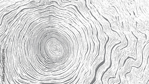Abstract monochrome pattern of organic lines and swirls resembling wood grain or a fingerprint.