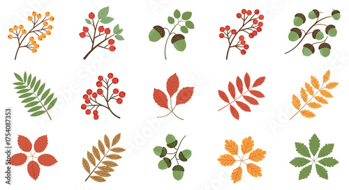 A collection of colorful autumn leaves and berries for seasonal decoration.