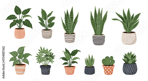 Pixel art collection of potted houseplants in various ceramic pots.