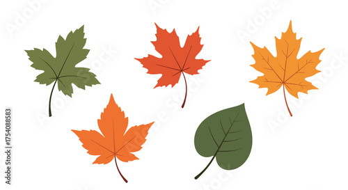 Beautiful autumn leaves in various vibrant colors during fall season.