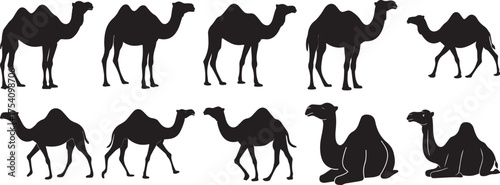 A Group of Black camel silhouette running vector illustration flat design