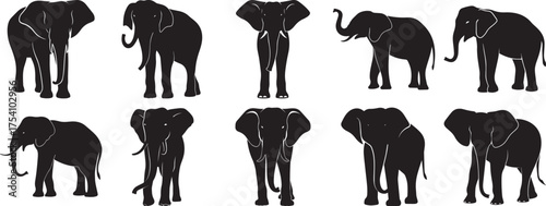 A group of Elephant silhouette vector, black and white silhouette vector illustration