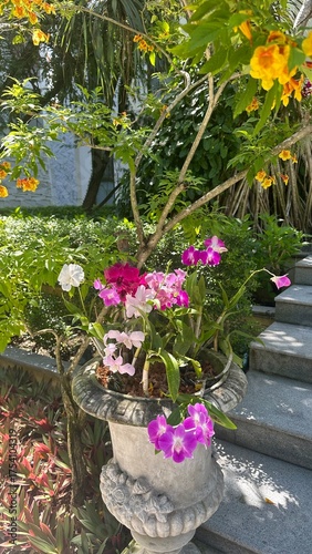 flowers in a garden