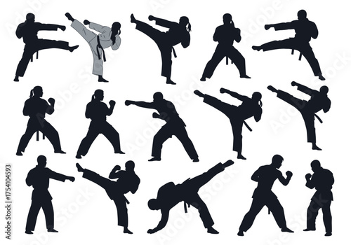 Silhouette martial arts poses demonstrating different fighting stances and kicks.
