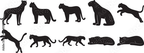 A group of Panther animal silhouette vector, black and white silhouette vector illustration