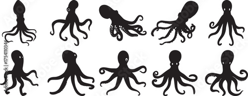 A group of Squid silhouette vector, black and white silhouette vector illustration