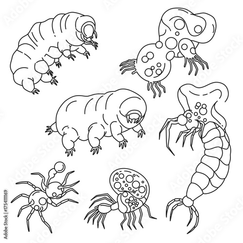 An engaging collection of black and white line art illustrations showcasing diverse microscopic organisms, featuring resilient tardigrades and other tiny creatures.