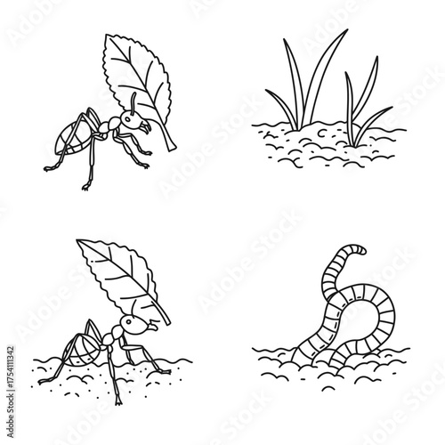 The image depicts simple line art illustrations of common garden inhabitants and elements, showcasing an ant carrying a leaf, a worm, and grass.
