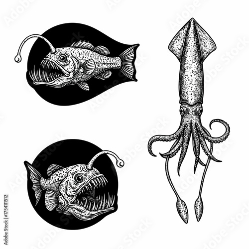 Detailed black and white illustrations capture the mysterious allure of deep-sea creatures, featuring a menacing anglerfish and an elegant squid.