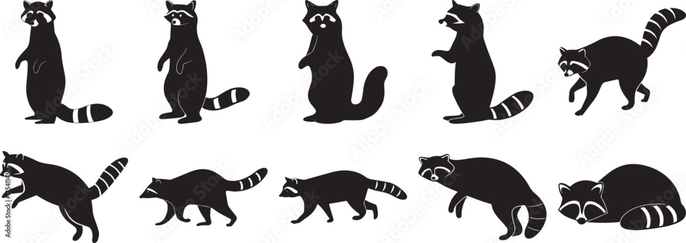 Fototapeta premium A group of Raccoon silhouette vector, black and white silhouette vector illustration