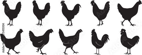 A group of Rooster silhouette vector, black and white silhouette vector illustration