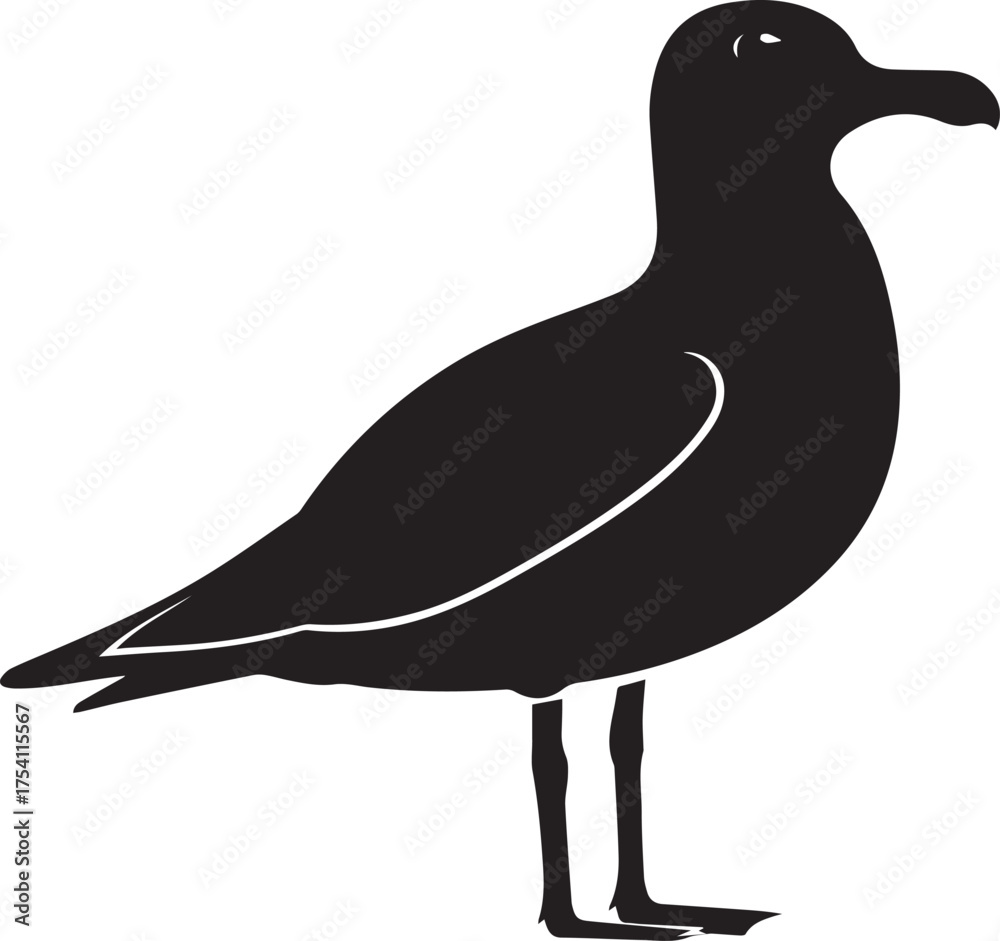 Obraz premium Seagull bird silhouette vector, black and white silhouette vector illustration