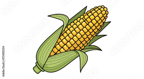 corn cobs isolated on white