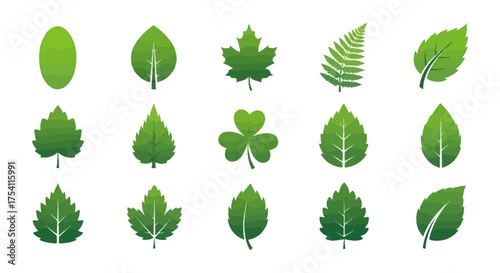 collection of green leaves