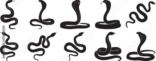 A group of Snake silhouette vector, black and white silhouette vector illustration