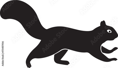 Squirrel silhouette vector, black and white silhouette vector illustration