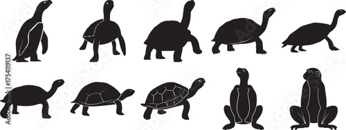 A group of Turtle silhouette vector, black and white silhouette vector illustration