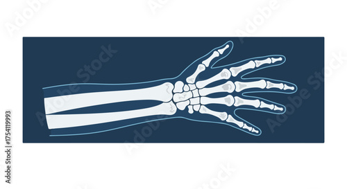 Stylized depiction of a human hand skeleton with visible bones, set against dark blue background, perfect for scientific concepts and medical