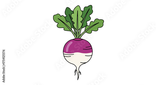 Isolated illustration of a vibrant turnip with fresh green leaves against a clean white background drawing attention to its simple beauty