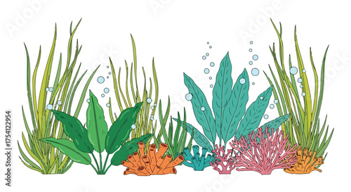 Stylized aquatic plant arrangement featuring seaweed, corals, and bubbly water on a white background illustration