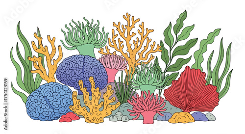 Conceptualization of intellectual coral reef diversity and biological cognitive functions under the sea life ecosystem