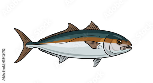 Vibrant illustration of a sleek yellowtail amberjack fish with dynamic colors in side view on an isolated background
