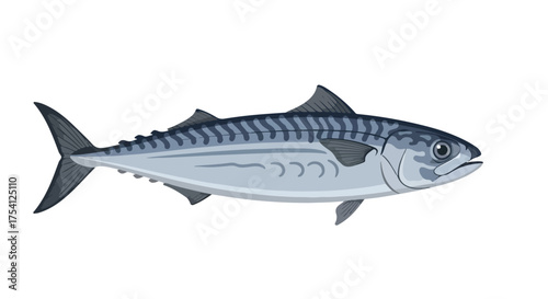 Isolated illustration of a sleek atlantic mackerel swimming gracefully, showcasing its distinct blue stripes and silvery body in a simplistic design