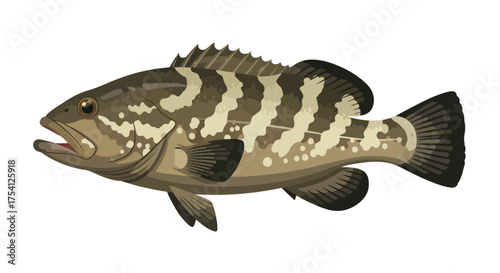 Digital illustration showcasing a spetacular cubera snapper with its unique pattern and graceful form