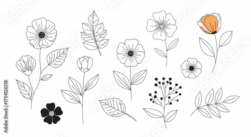 Botanical Line Art Set With Wildflowers And Foliage Elements
