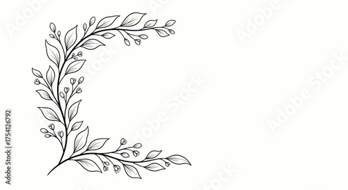 Elegant Botanical Border Design For Invitations And Greetings Card