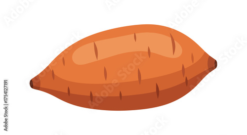 Isolated sweet potato vector illustration presenting a nutritional concept and culinary applications of this ingredient