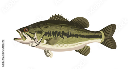 Stylized illustration depicting a largemouth bass with its mouth open, presented on a pristine white canvas showcasing intricate details and coloring