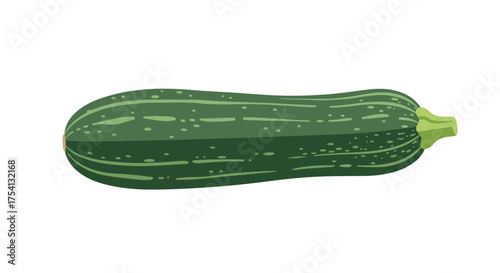 Zucchini illustration with dark green skin, light green stripes and delicate dots, perfect for recipe books and nutritional information design