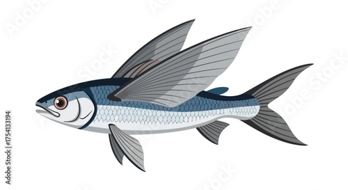 Stylized illustration of a flying fish with detailed wing patterns and scale texture against a plain background offering design flexibility