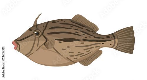 Stylized illustration of a solitary filefish with unique markings and anatomical features, created with a modern vector aesthetic isolated on a
