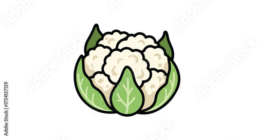 Stylized cauliflower head with vibrant green leaves isolated against a pristine white background, perfect for food illustrations and educational