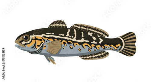 Stylized depiction of a blotched walking fish, showcasing unique patterns and muted tones, detailed illustration on a crisp white canvas