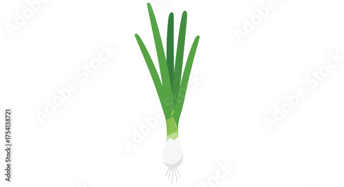 Illustration of a Vibrant Spring Onion Against a Clean White Background Depicting Freshness and Culinary Use