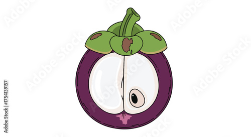 An Illustrated Mangosteen Fruit with Cut and Half Revealing White Segments isolated against a white backdrop in clean vector style artwork