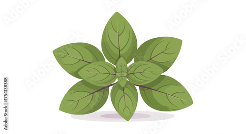 Illustration of Fresh Basil Plant with Vibrant Green Leaves on White Background for Culinary and Dietary Use
