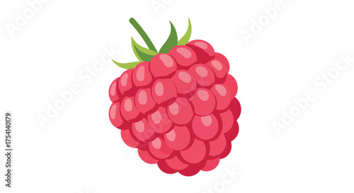 Vibrant raspberry illustration, a delightful visual of a single, juicy raspberry on a crisp white backdrop, perfect for food related design projects