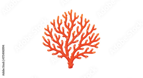 Vibrant coral specimen illustration presenting intricate branch structures and vivid orange hue on clean backdrop for biological exploration