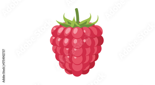Detailed vector illustration of a vibrant, fresh raspberry with plump, bright red segments against a crisp white background perfect for visual aids