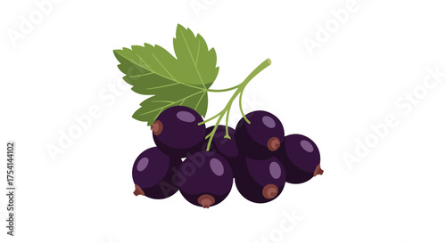 Artistic depiction of blackcurrants with green leaves, showcasing freshness and natural elegance in a minimalist style
